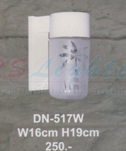 DN-517W