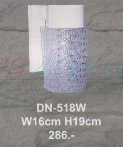 DN-518W