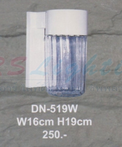 DN-519W