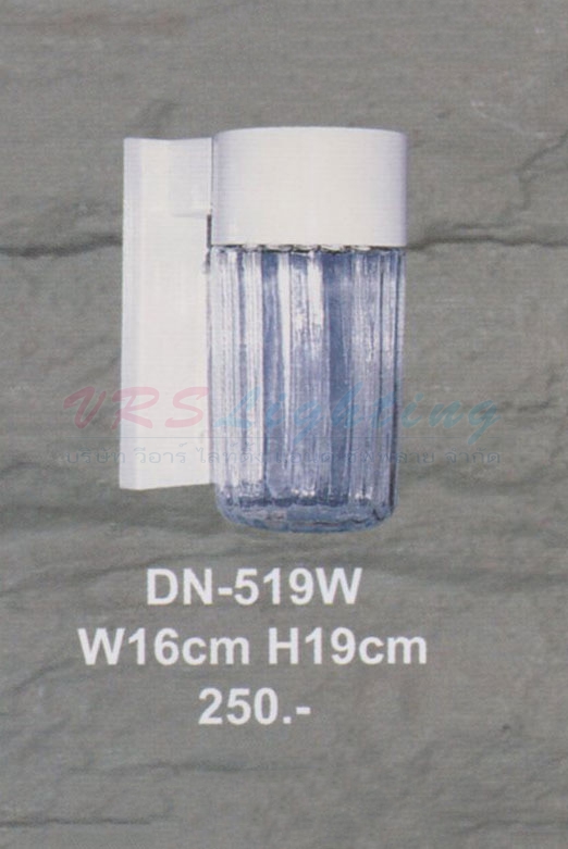 DN-519W
