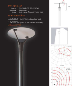 เสาไฟสนาม PT-30112