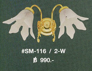 SM-116-2-W