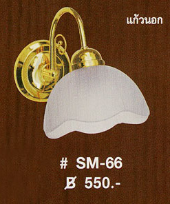 SM-66