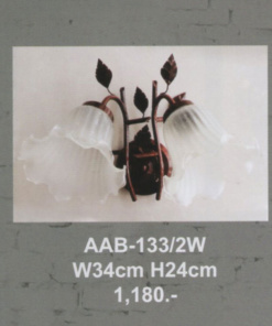 โคมไฟกิ่งภายใน AAB-133-2W