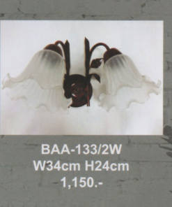 โคมไฟกิ่งภายใน BAA-133-2W